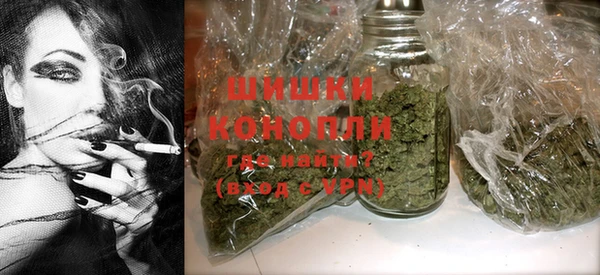 сатива Белоозёрский