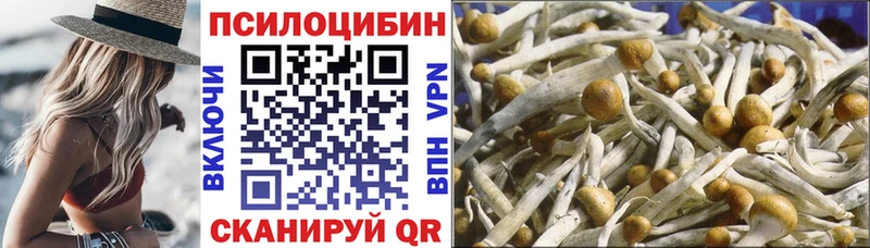 где продают наркотики  МЕГА онион  Псилоцибиновые грибы прущие грибы  Няндома 